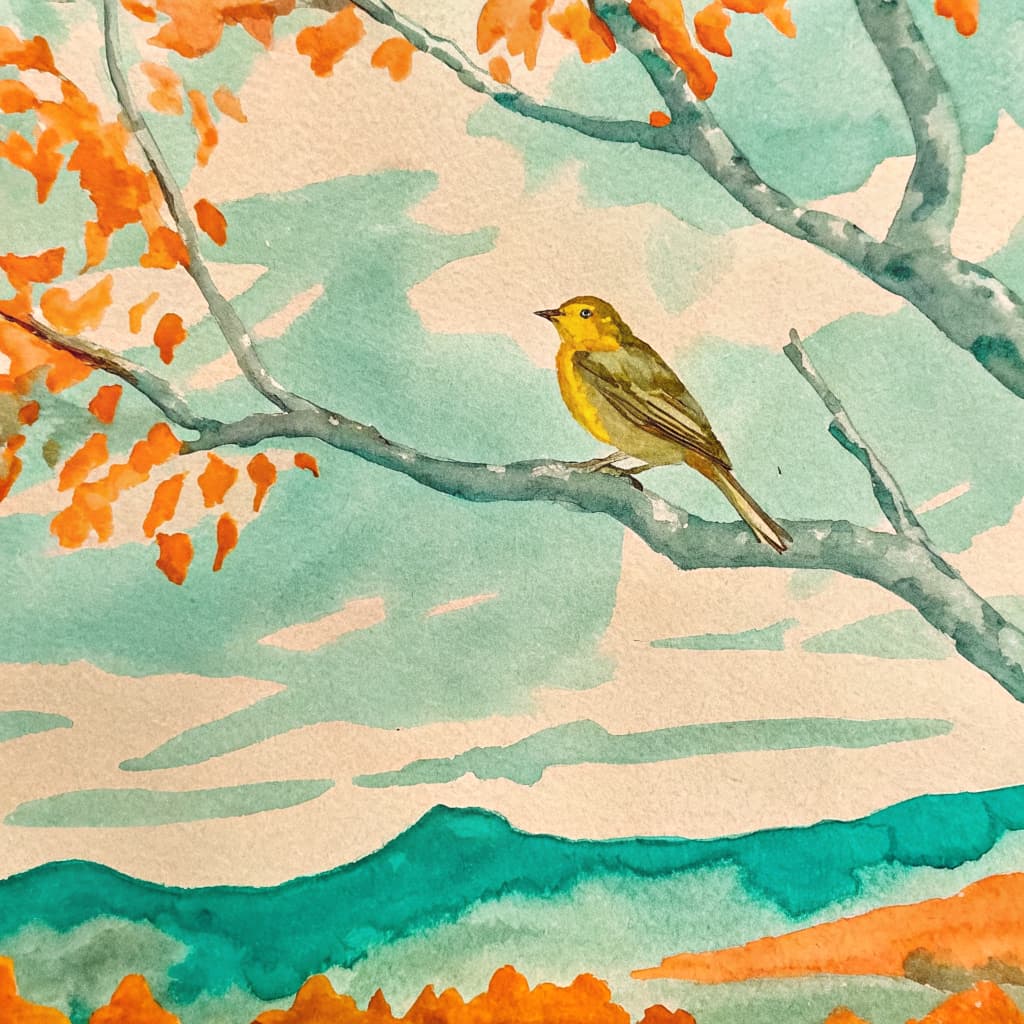 Illustrated canary perched on an autumn Texas Hill Country branch