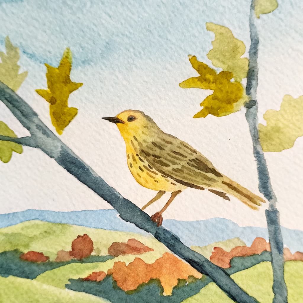 Illustrated canary perched on an autumn Texas Hill Country branch