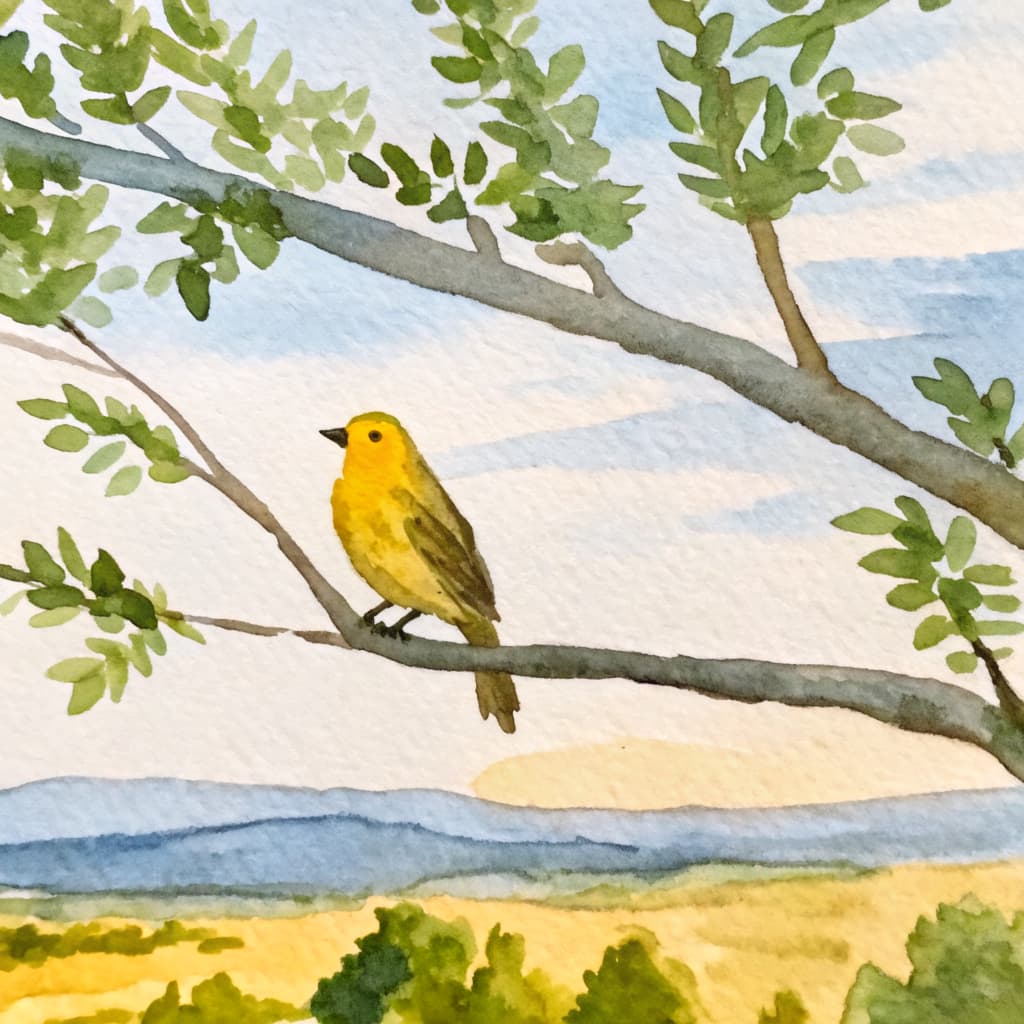 Illustrated canary perched on a summer Texas Hill Country branch