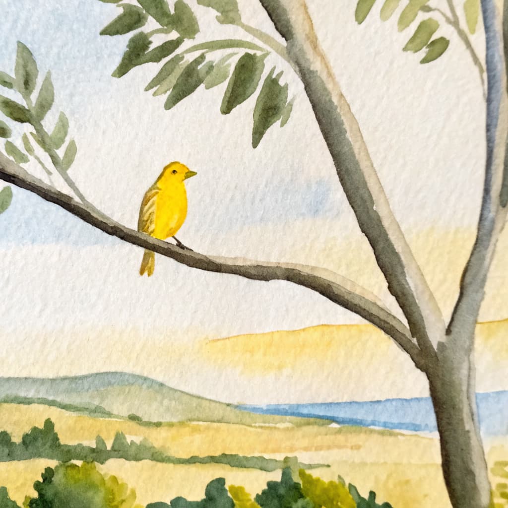 Illustrated canary perched on a summer Texas Hill Country branch