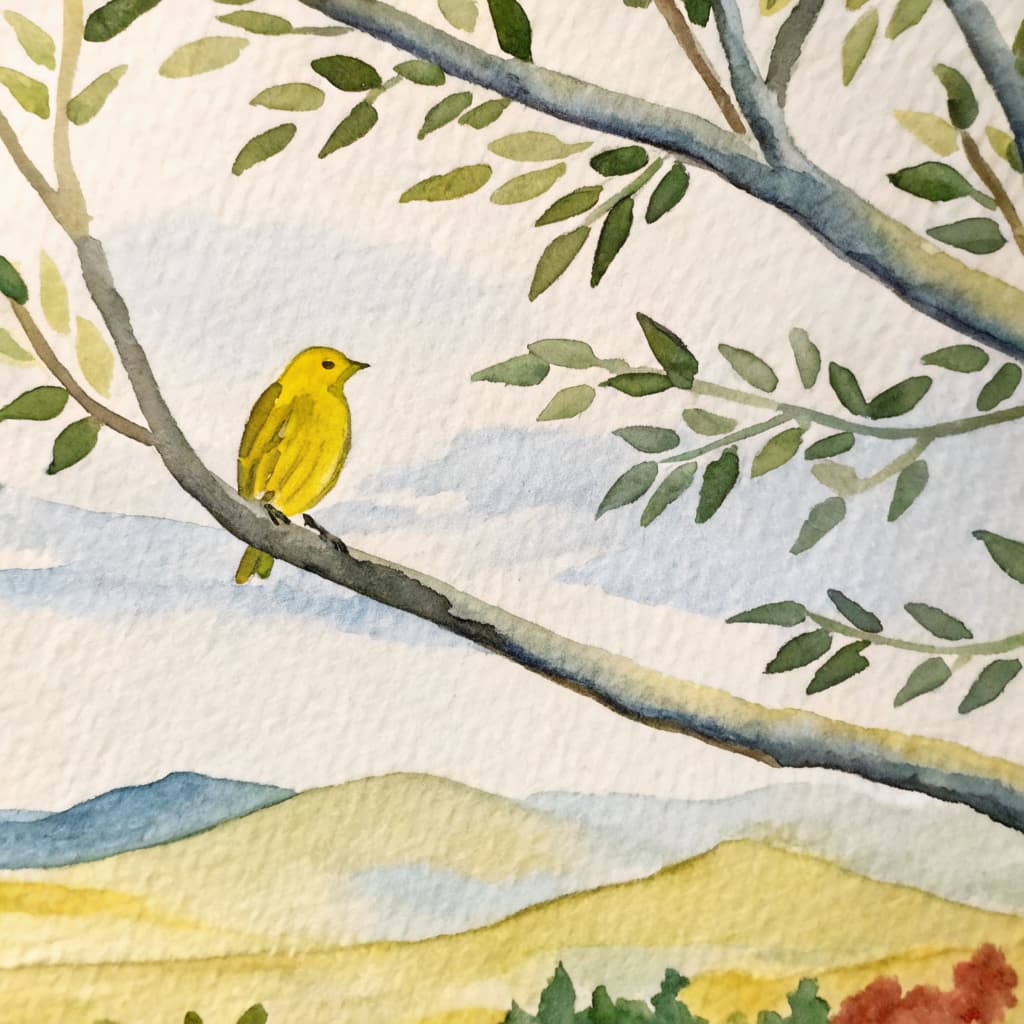Illustrated canary perched on a summer Texas Hill Country branch